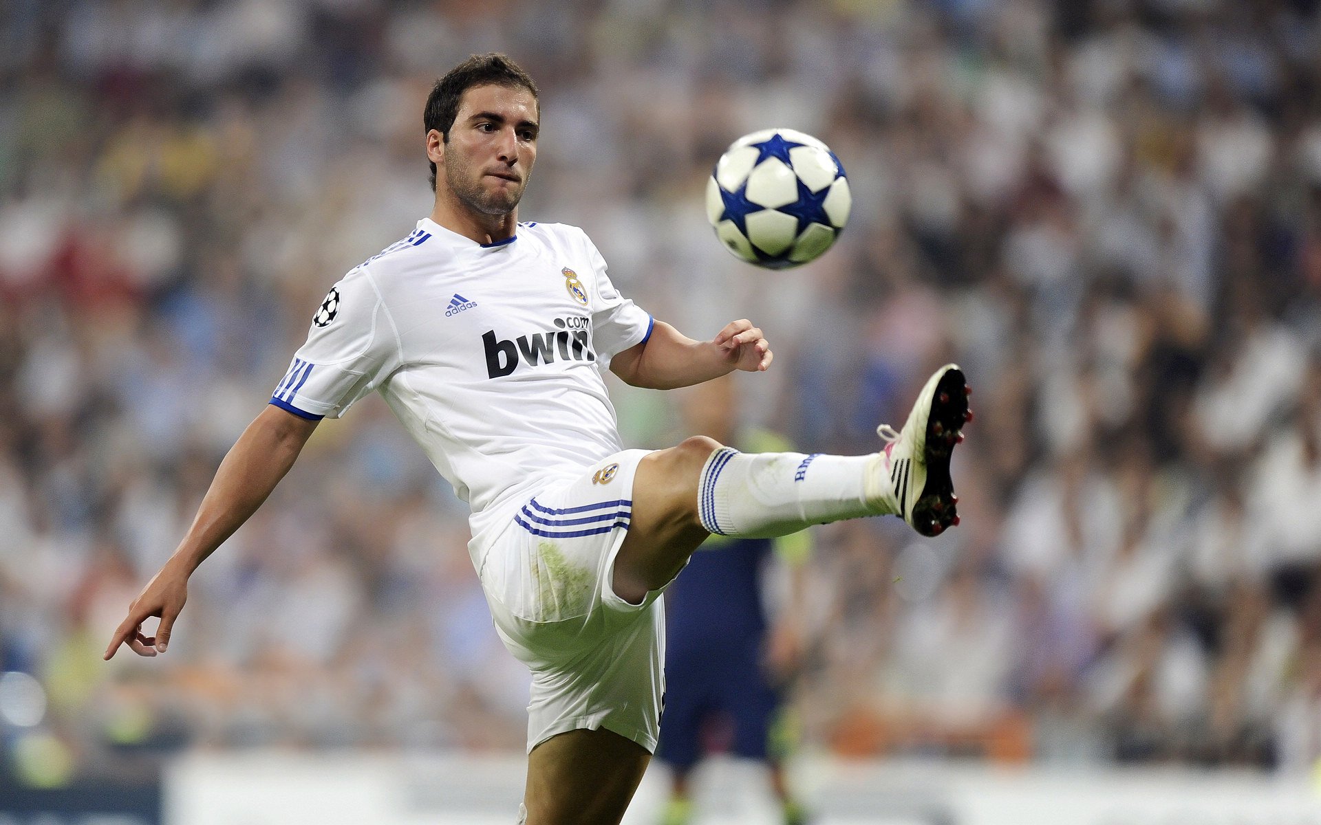 全运会体操项目竞争激烈,全运会体操项目包括