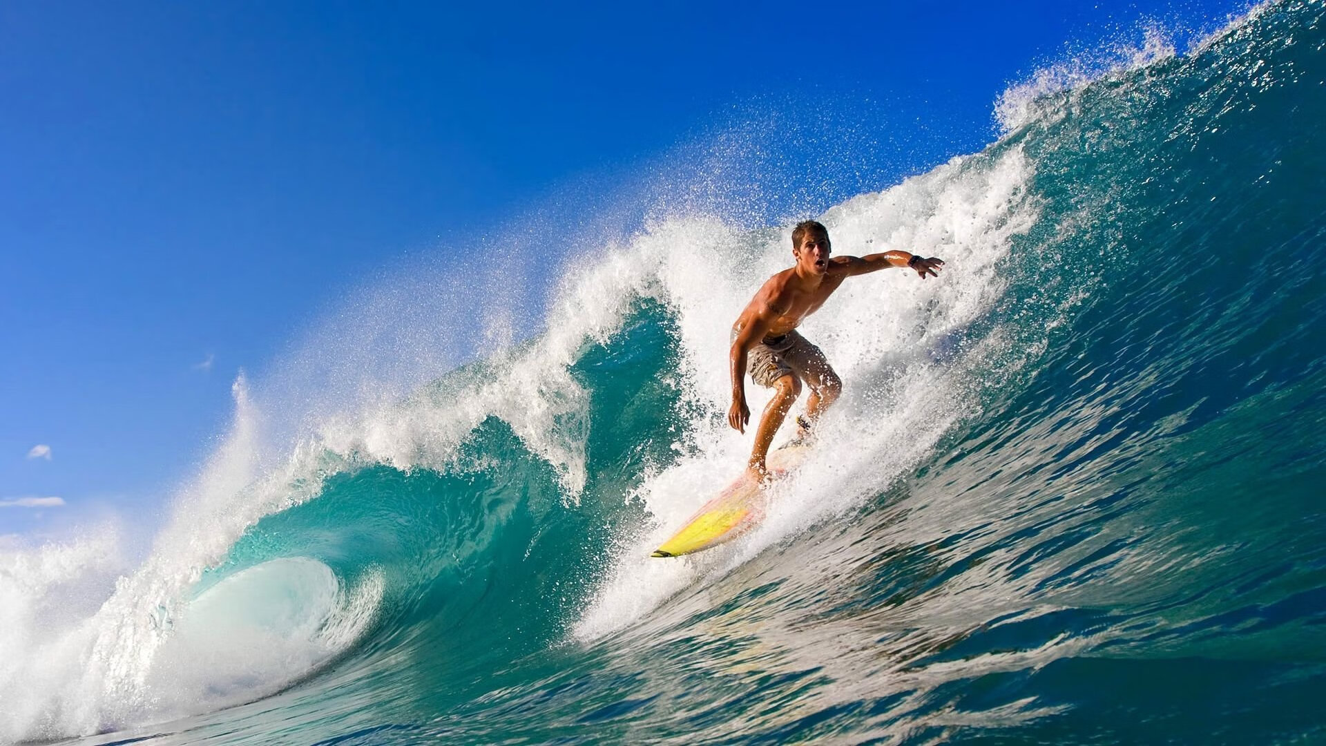 在对阵勇士的季后赛系列赛中,库里单场投中11个三分,帮助球队夺取胜利!